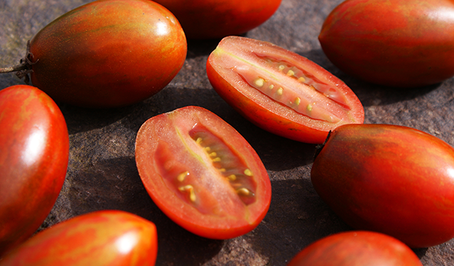 Tomato Image 2