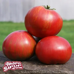 Ahornsirup Pink