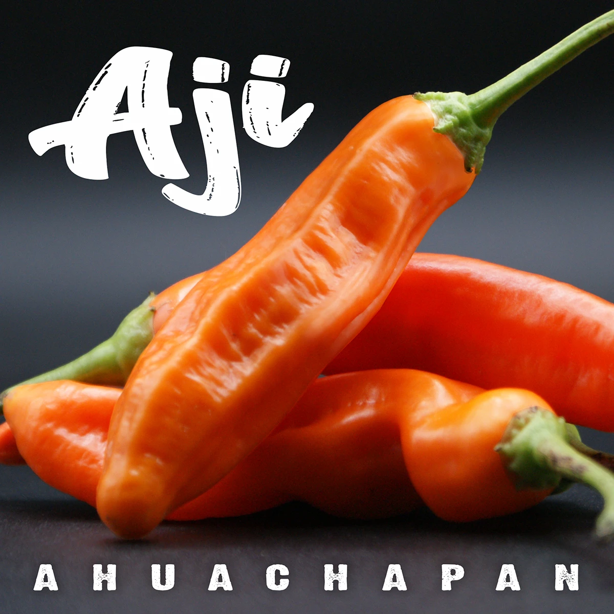 Aji Ahuachapan