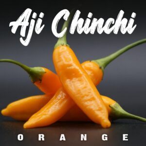 Aji Chinchi