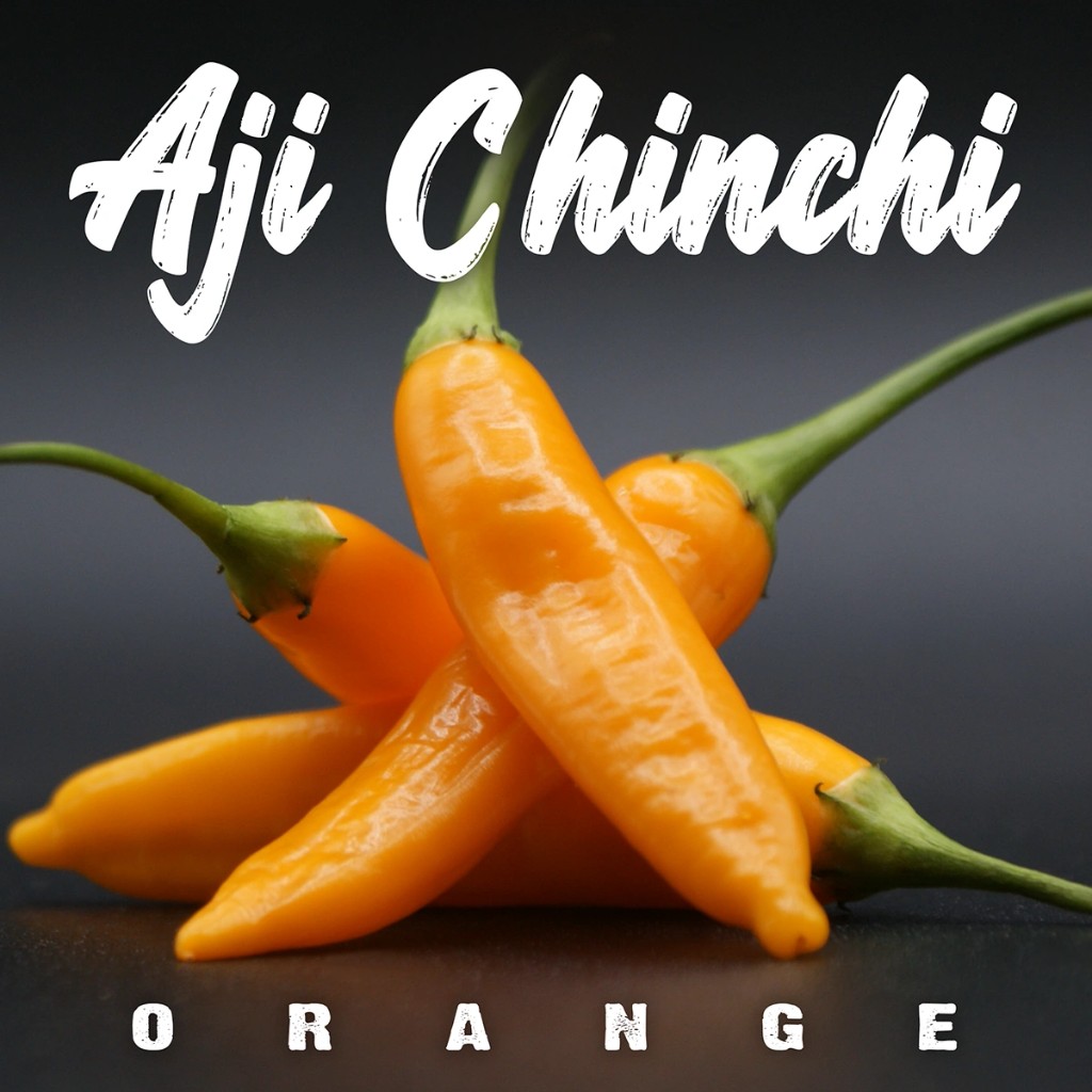 Aji Chinchi Orange