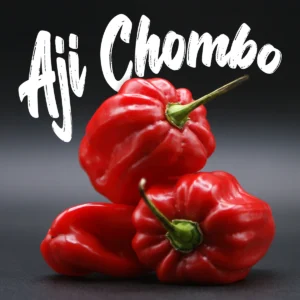 Aji Chombo