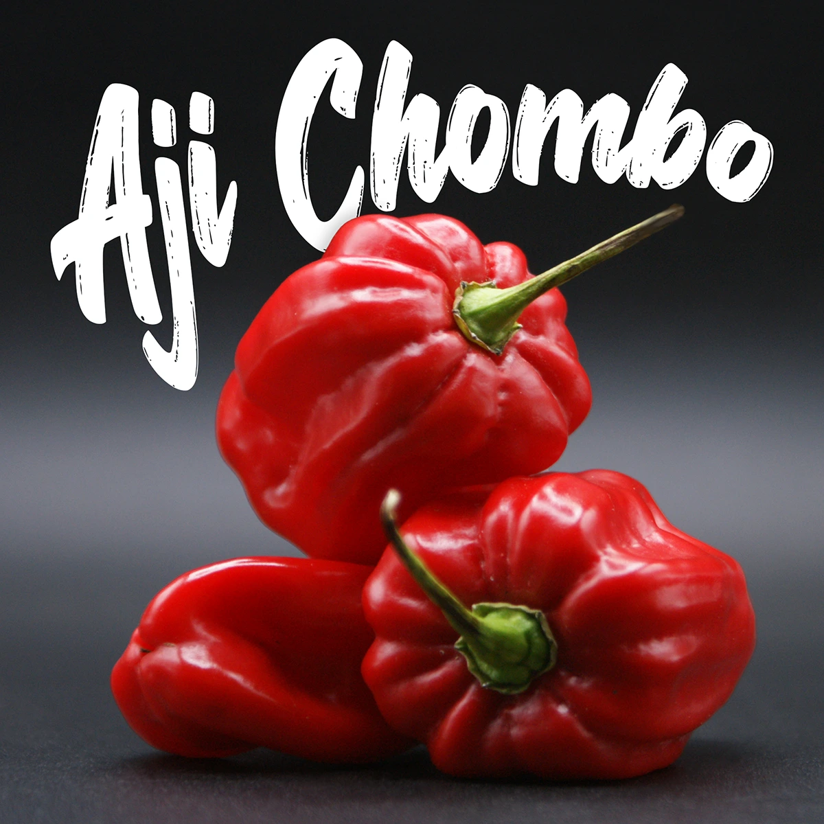 Aji Chombo