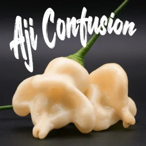 Aji Confusion