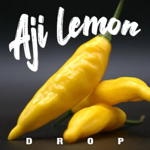 Aji Lemon Drop