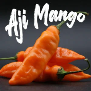 Aji Mango