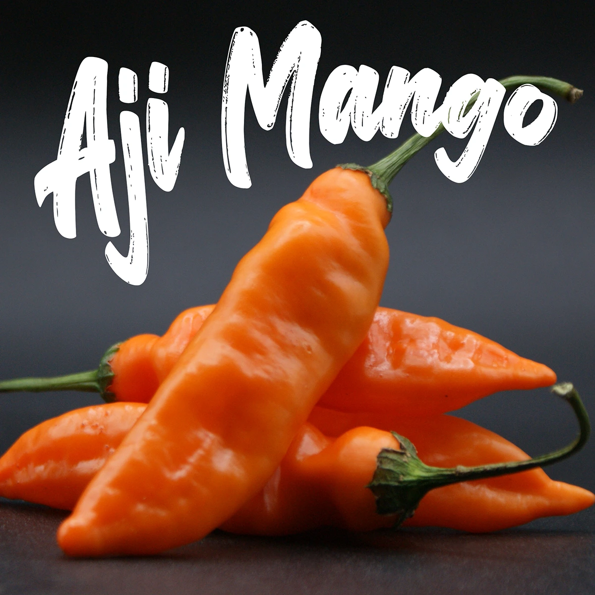 Aji Mango