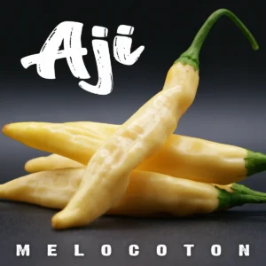 Aji Melocoton