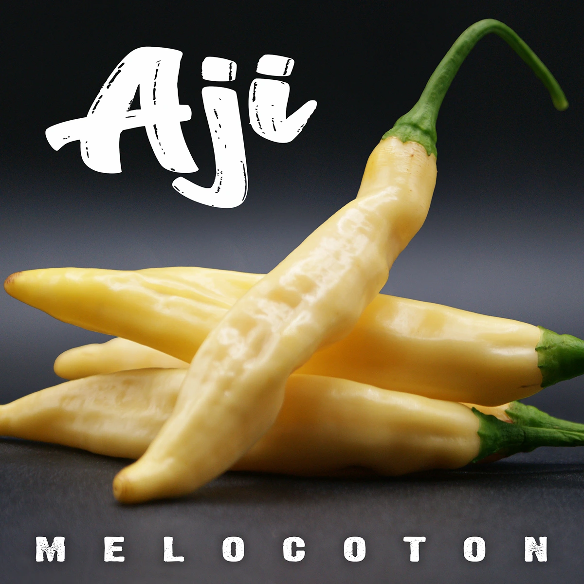 Aji Melocoton