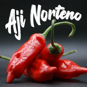 Aji Norteno