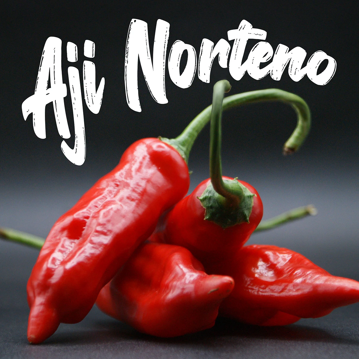Aji Norteno