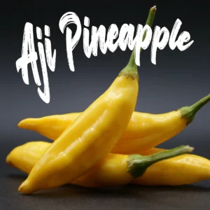 Aji Pineapple