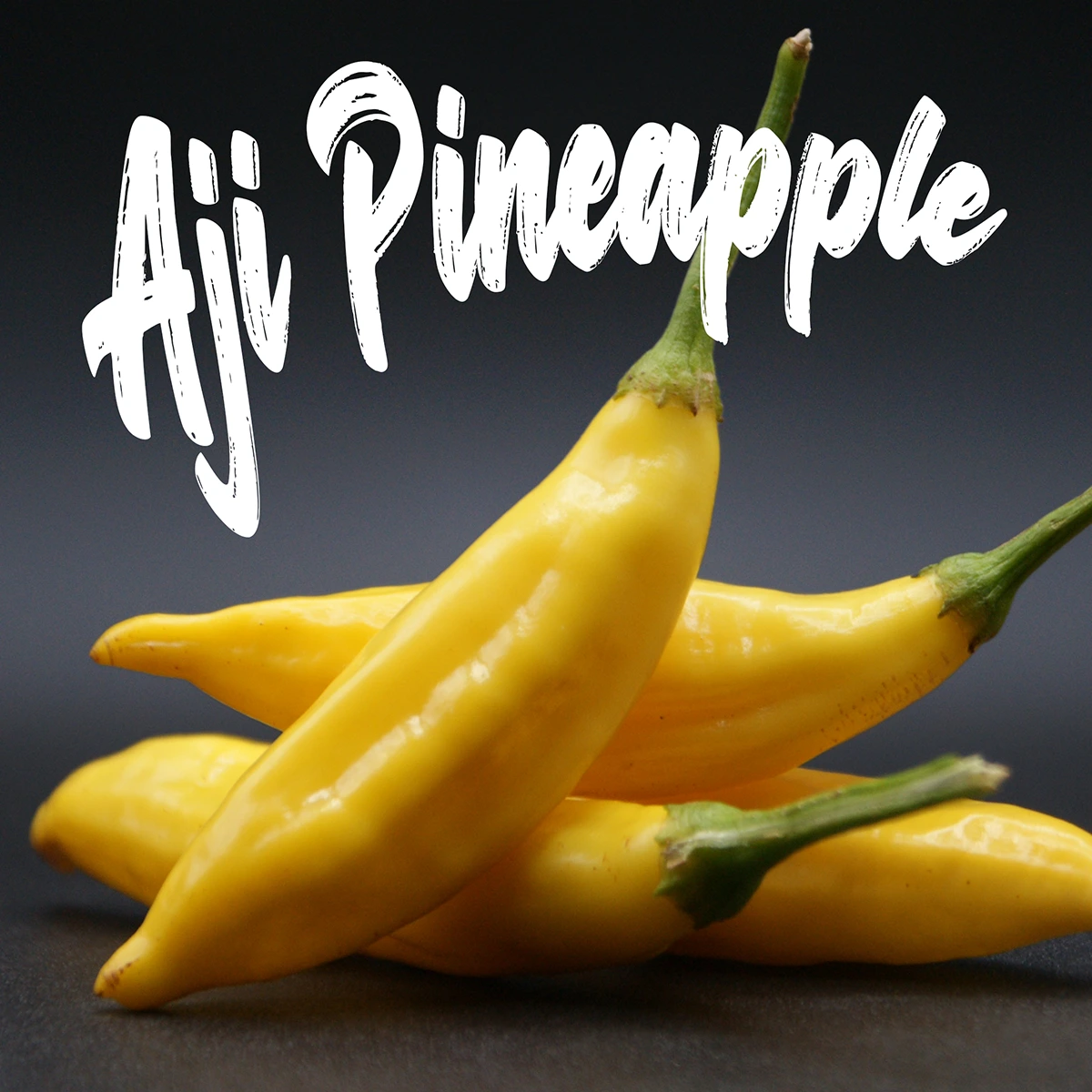 Aji Pineapple