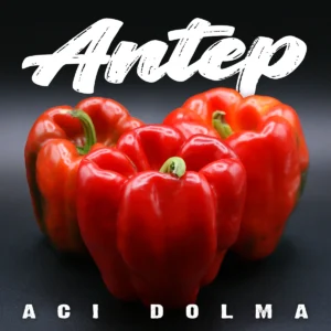 Antep Aci Dolma