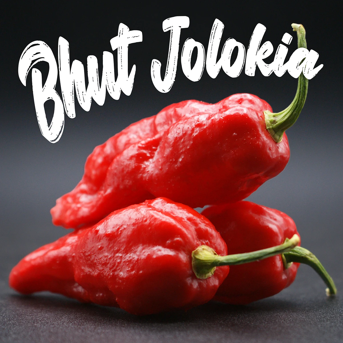 Bhut Jolokia