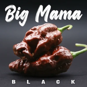 Big Black Mama