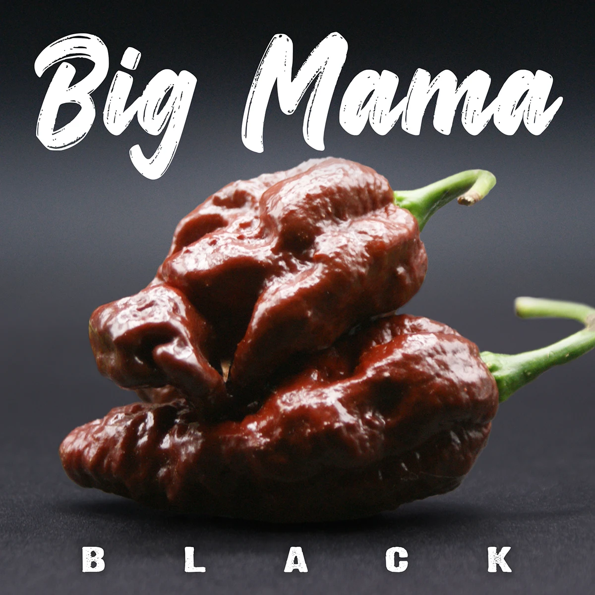 Big Black Mama