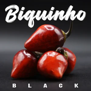 Biquinho Black