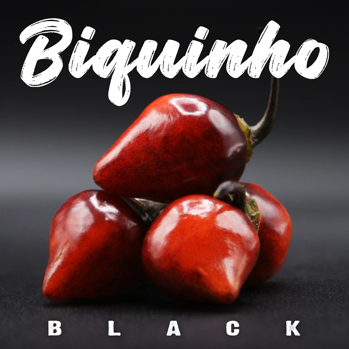 Biquinho Black