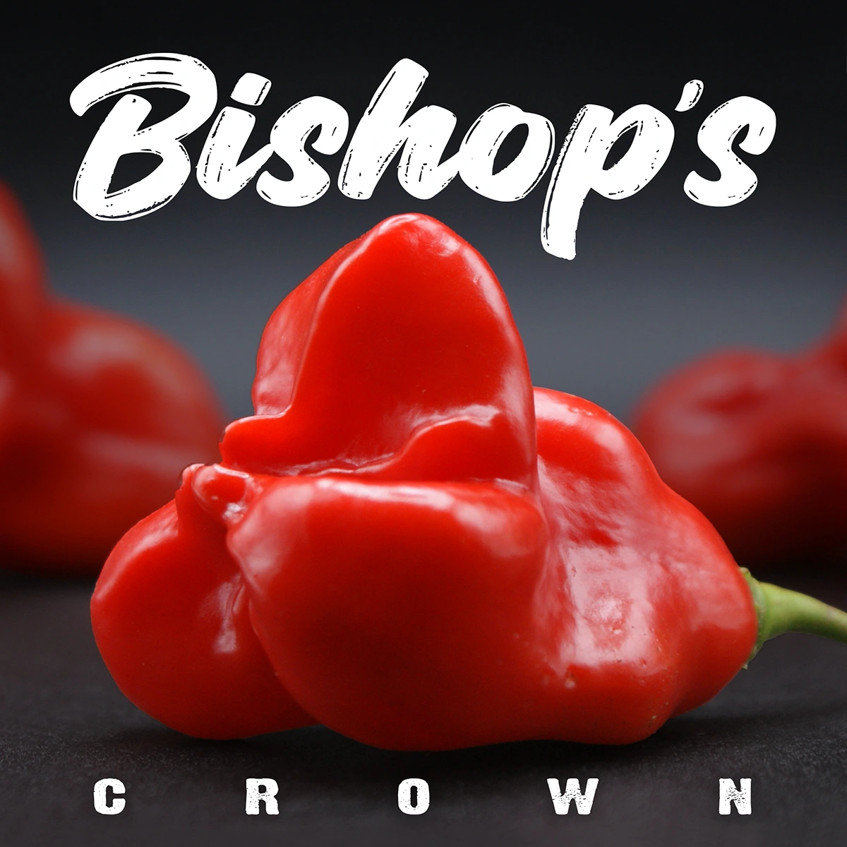 Bishop’s Crown