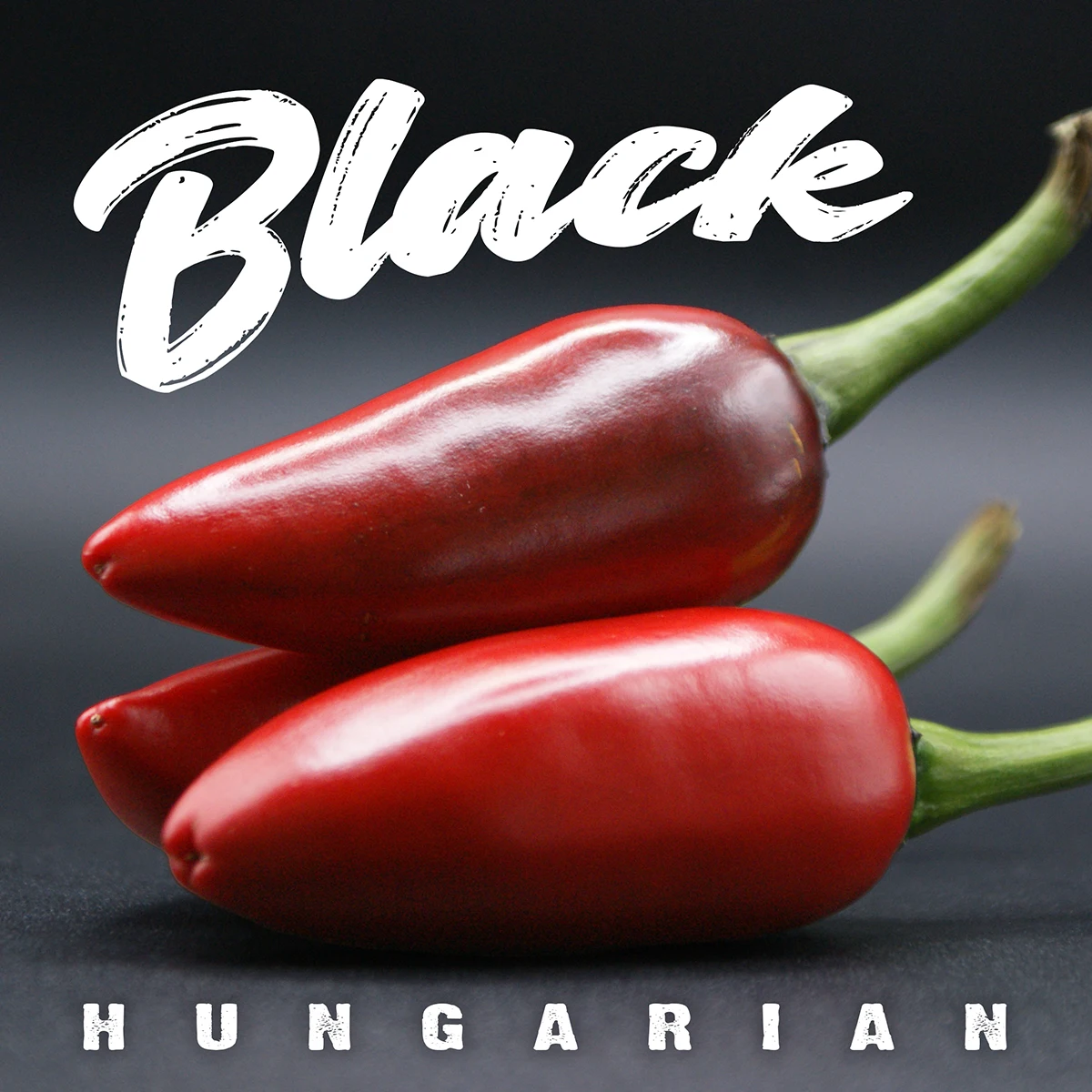 Black Hungarian