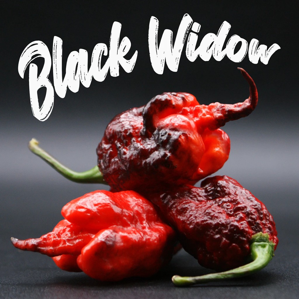 Black Widow