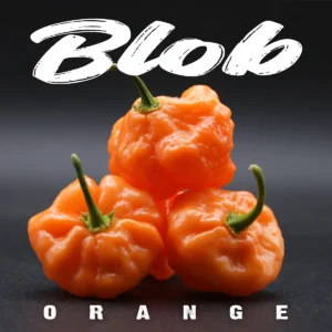 Blob Orange