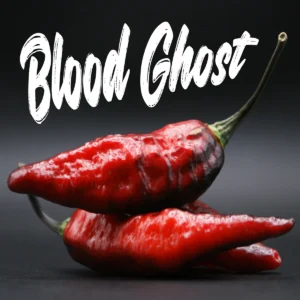 Blood Ghost