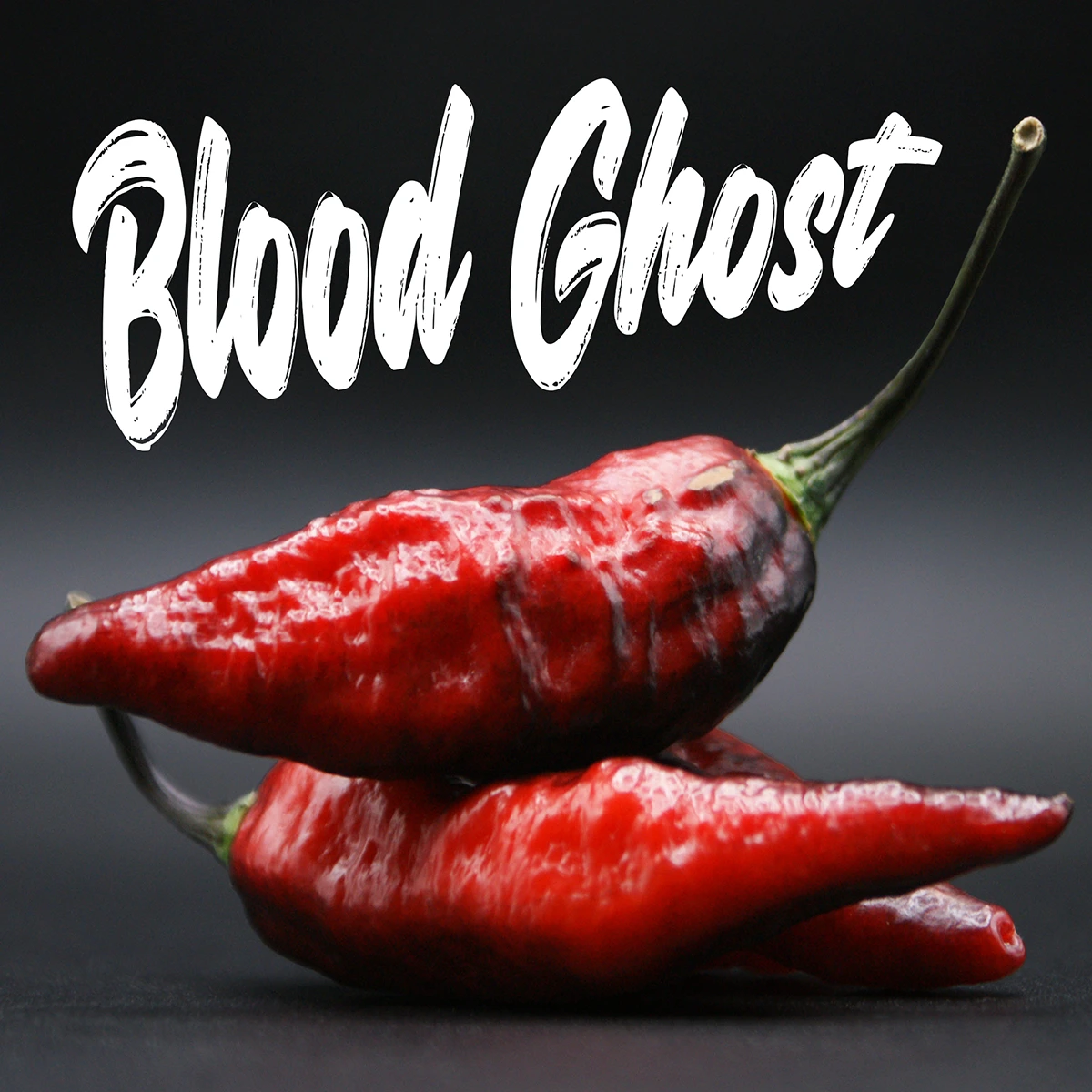 Blood Ghost