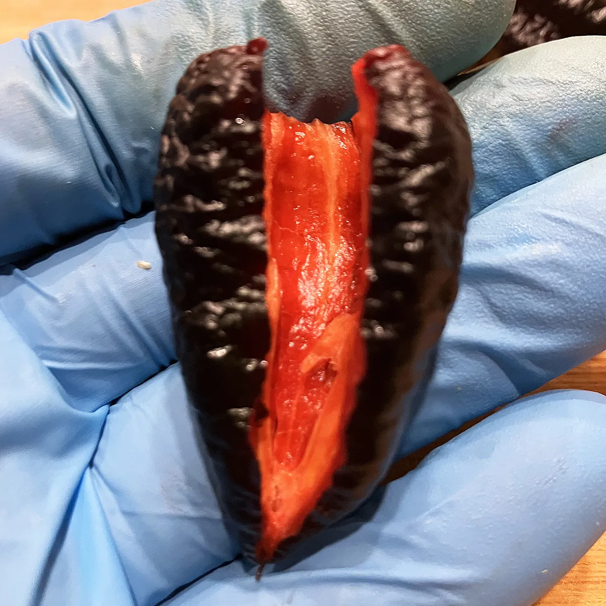 Blood Ghost – Image 4