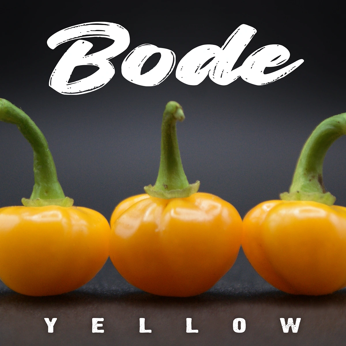 Bode Yellow