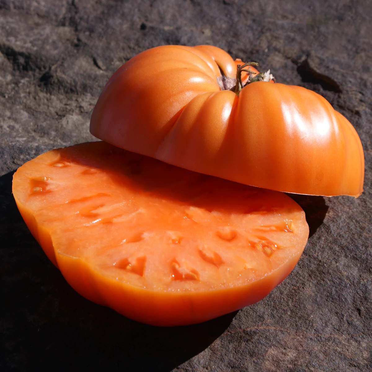 Brandywine Apricot – Image 4