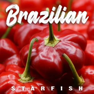 Brazilian Starfish