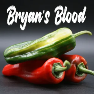Bryan’s Blood