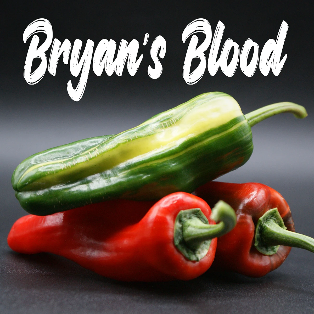 Bryan’s Blood