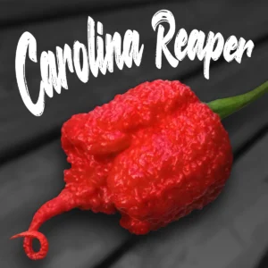 Carolina Reaper