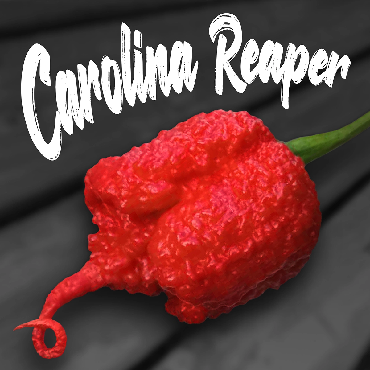Carolina Reaper