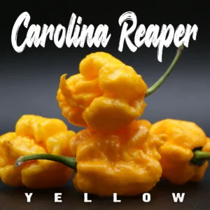 Carolina Reaper Yellow