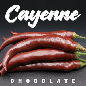 Cayenne Chocolate