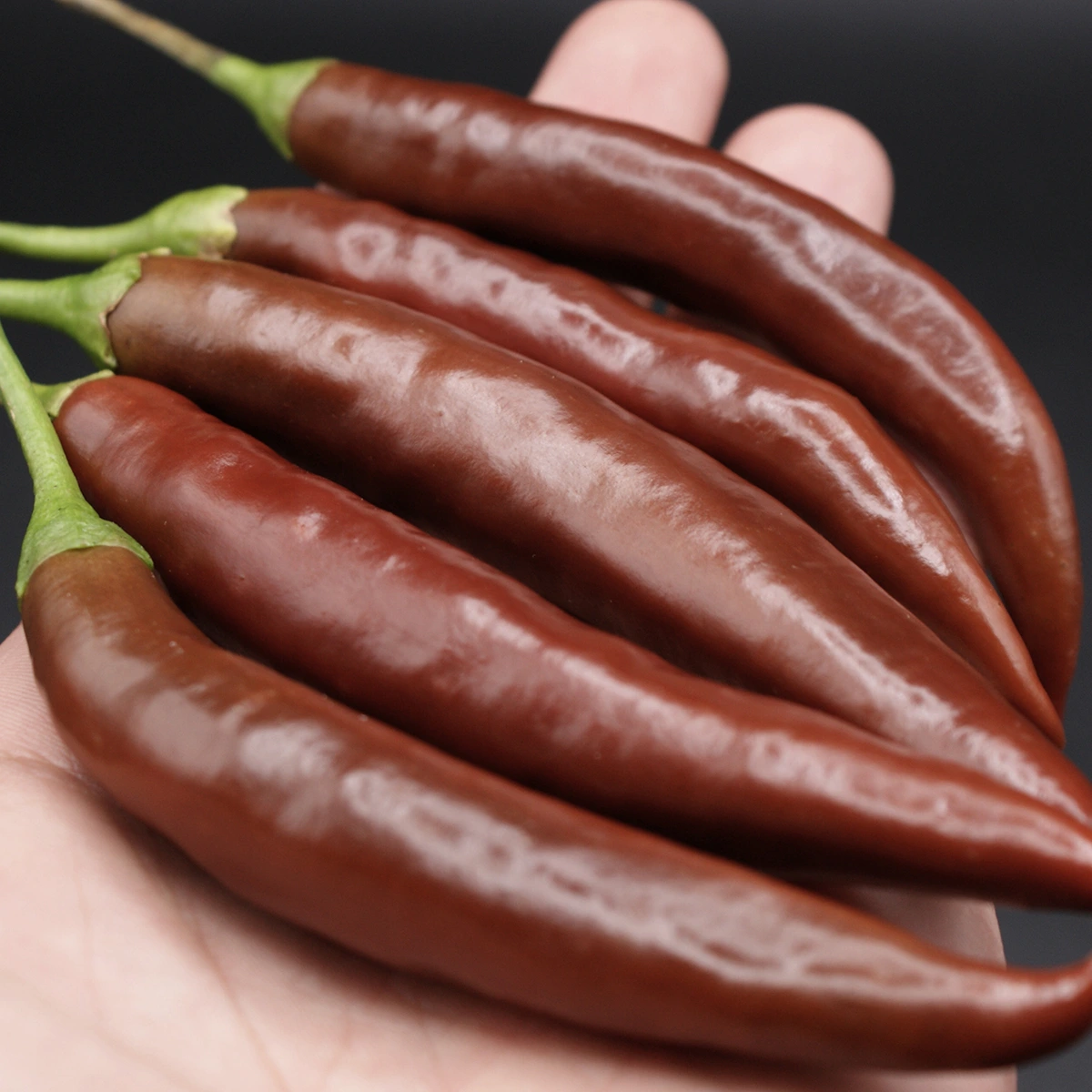 Cayenne Chocolate – Image 2