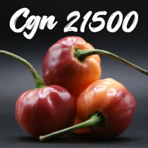 Cgn 21500