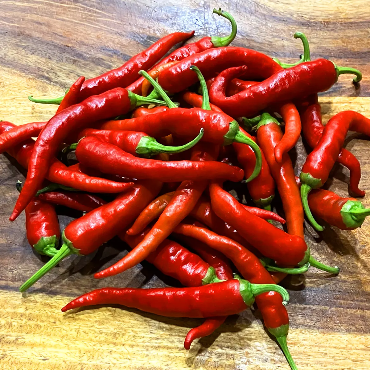 Chili de Arbol – Image 2