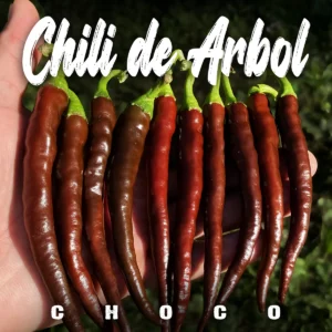 Chili de Arbol Chocolate