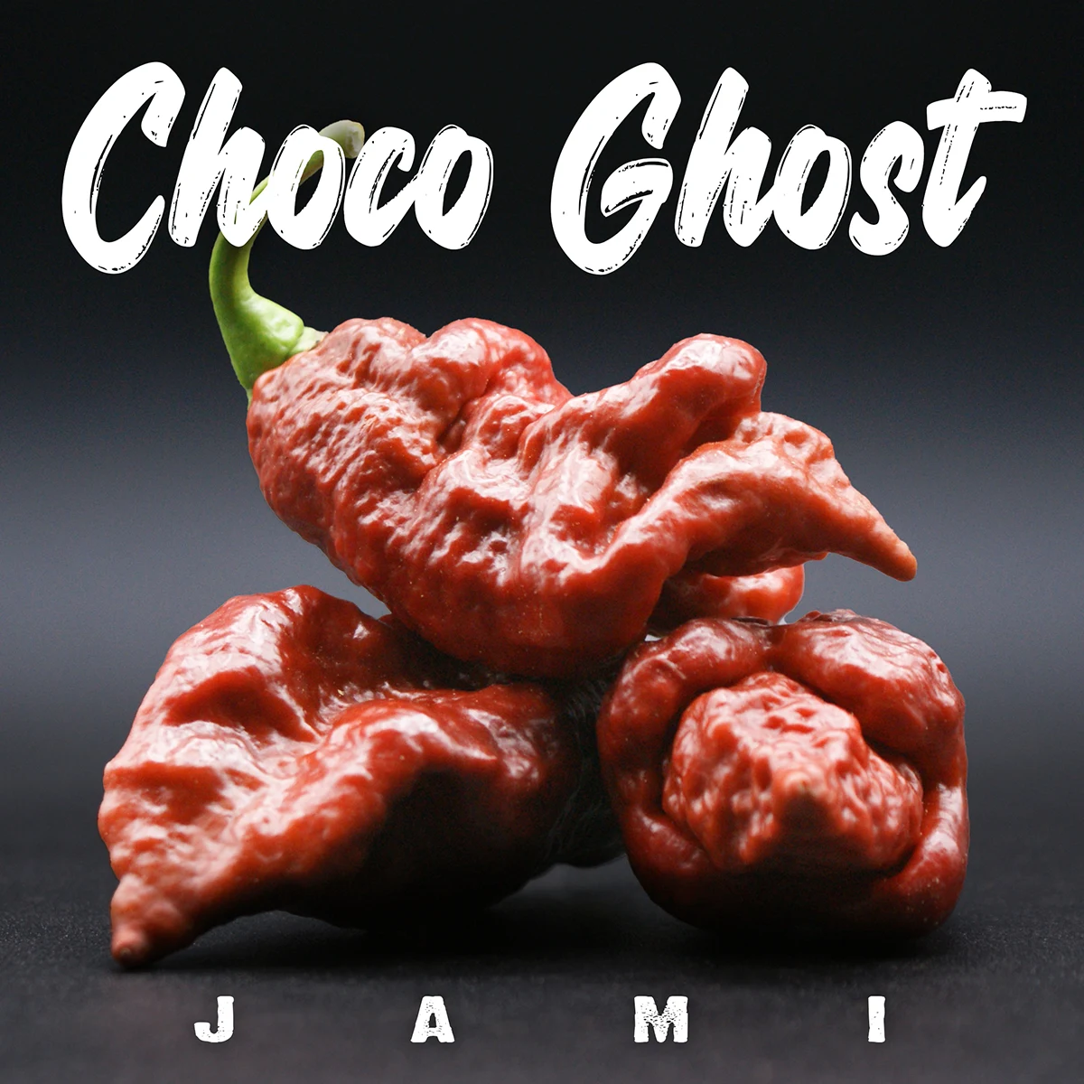 Choco Ghost Jami