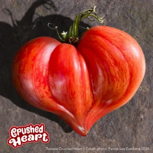 Cruched Heart