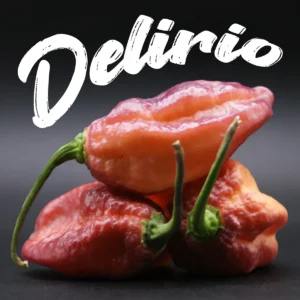 Delirio