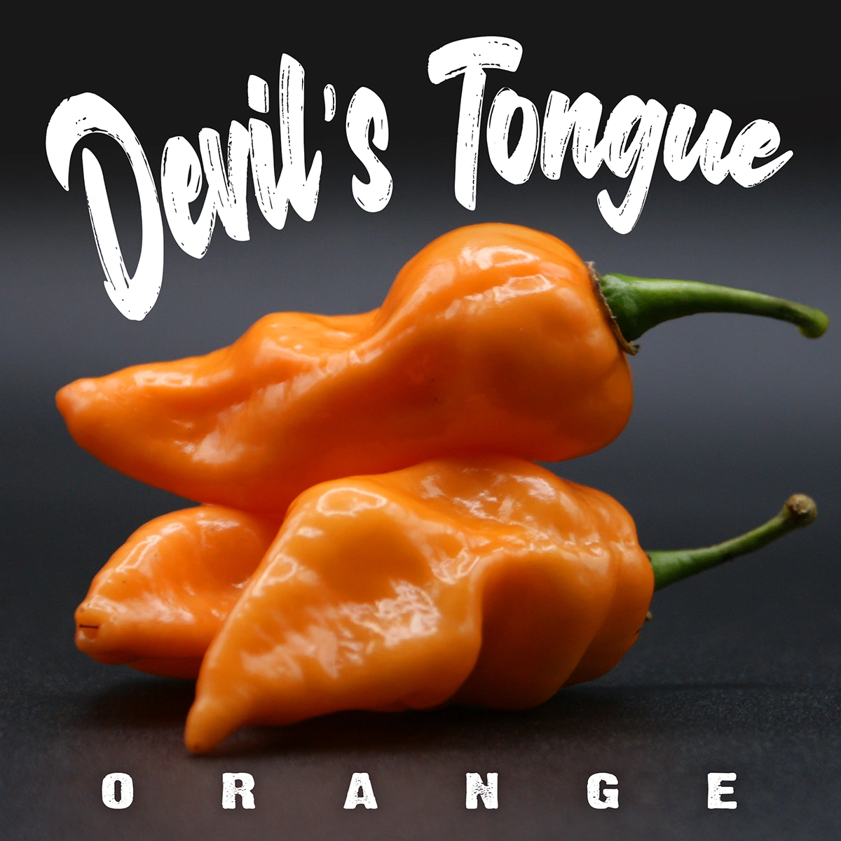 Devil’s Tongue Orange