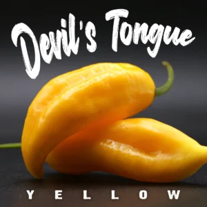 Devil’s Tongue Yellow