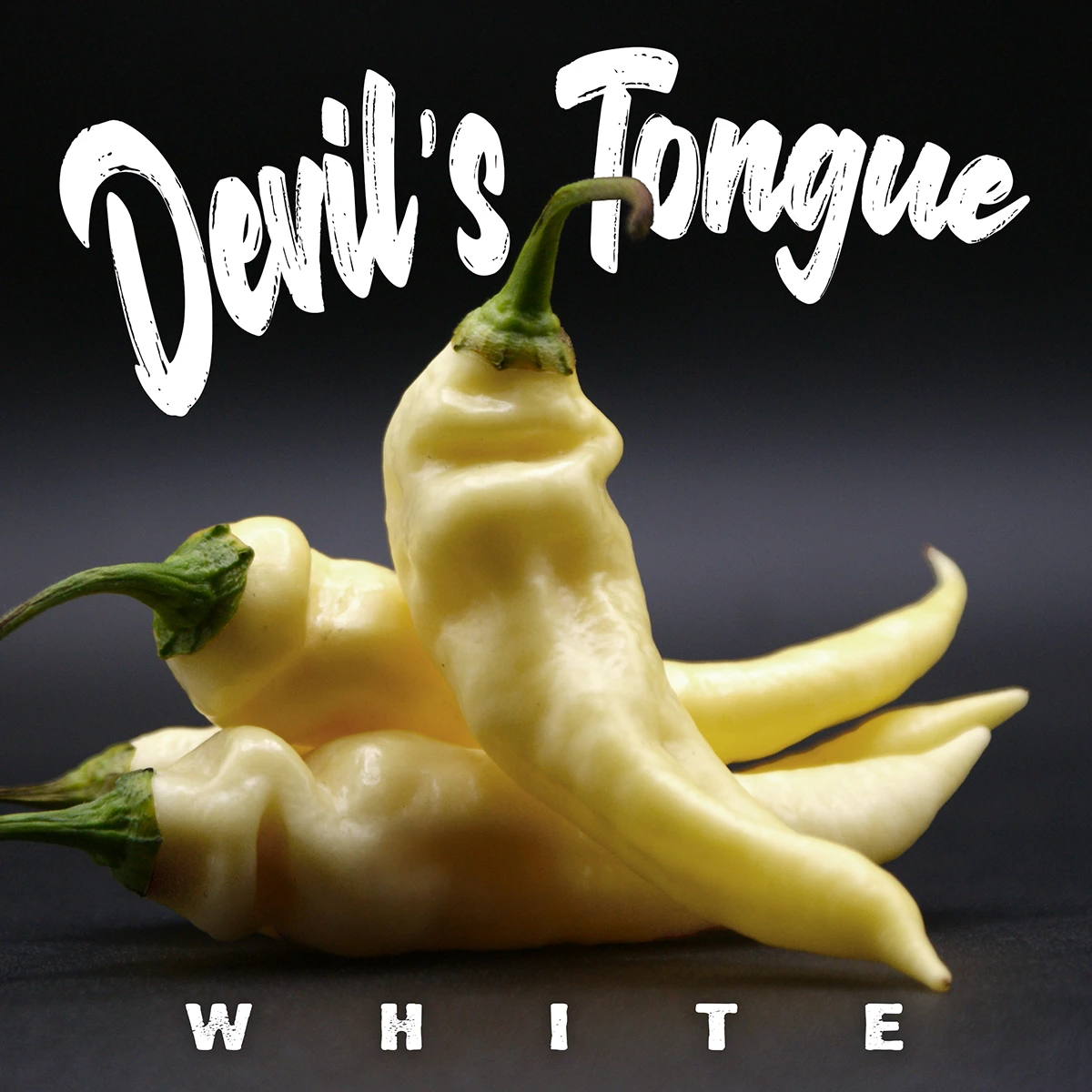 Devil’s Tongue White
