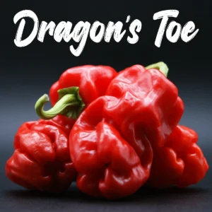 Dragon’s Toe